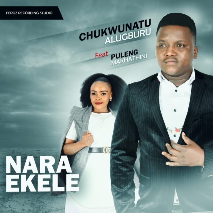 chukwunatu alugburu cover art for nara ekele